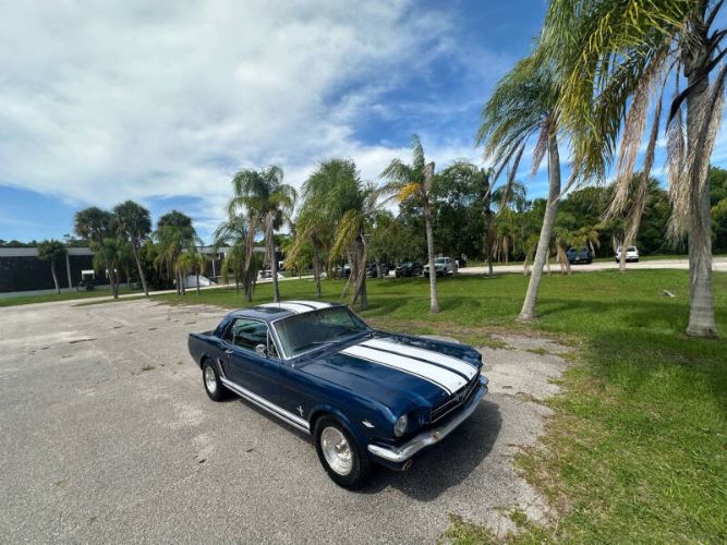 Unknown-Mustang-1965-Blue-Black-15