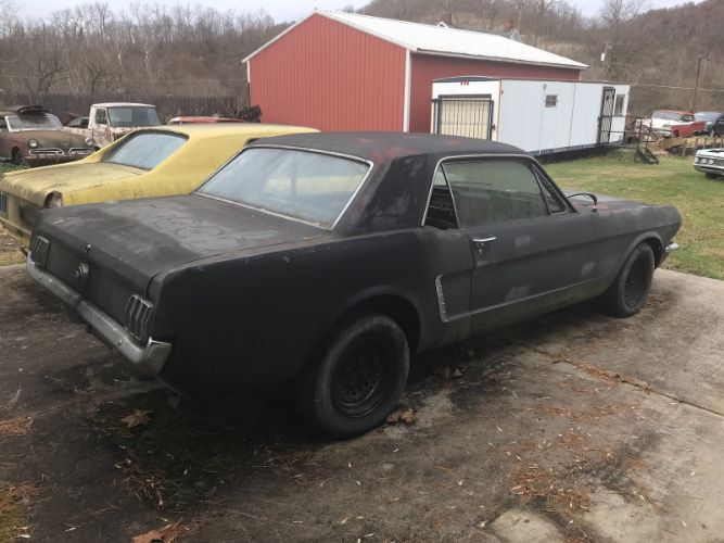 Unknown-Mustang-1965-Blue-Black-17