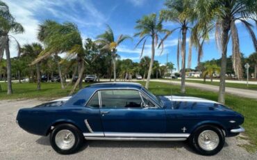 Unknown-Mustang-1965-Blue-Black-18