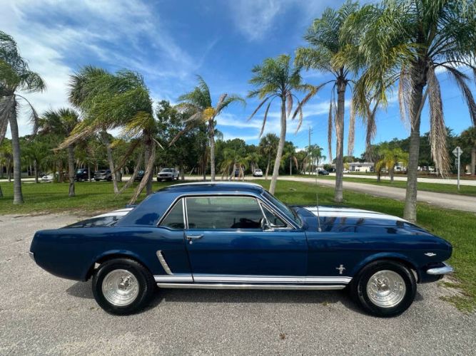 Unknown-Mustang-1965-Blue-Black-18