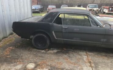 Unknown-Mustang-1965-Blue-Black-18