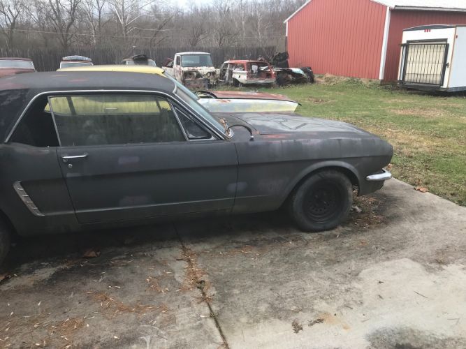 Unknown-Mustang-1965-Blue-Black-19