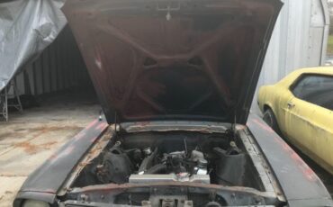 Unknown-Mustang-1965-Blue-Black-2