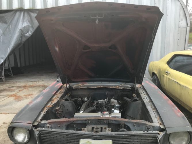 Unknown-Mustang-1965-Blue-Black-2