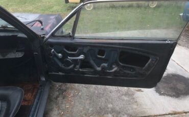 Unknown-Mustang-1965-Blue-Black-25