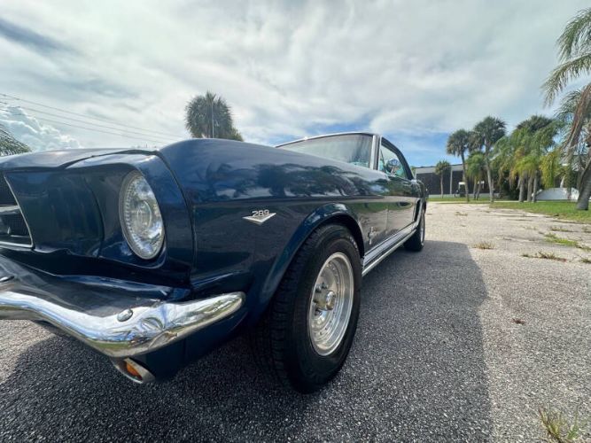 Unknown-Mustang-1965-Blue-Black-27
