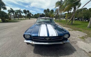 Unknown-Mustang-1965-Blue-Black-29