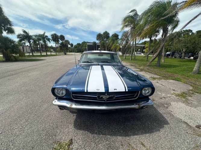 Unknown-Mustang-1965-Blue-Black-29