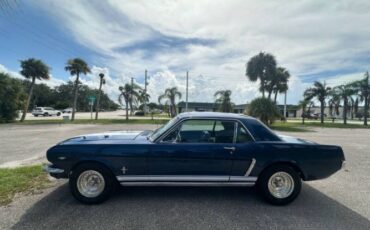 Unknown-Mustang-1965-Blue-Black