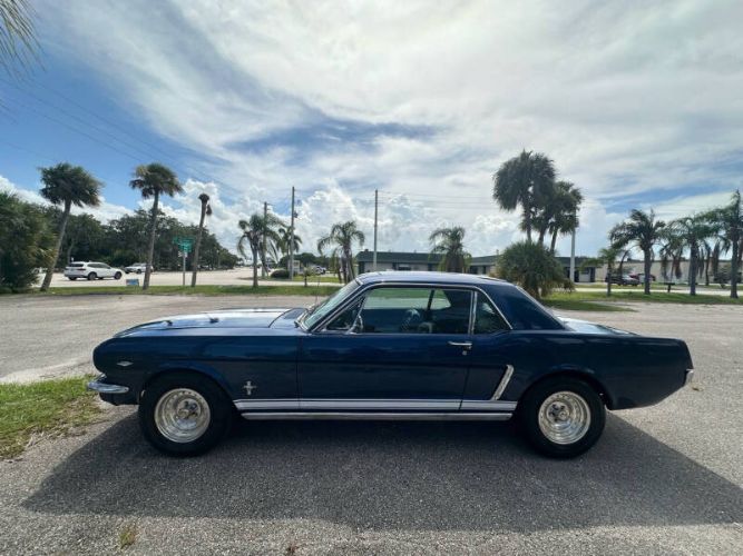 Unknown-Mustang-1965-Blue-Black