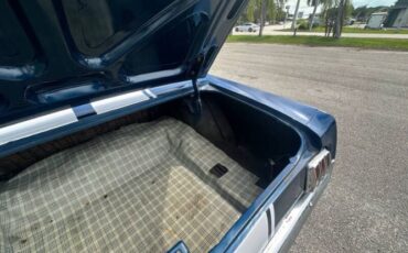 Unknown-Mustang-1965-Blue-Black-5