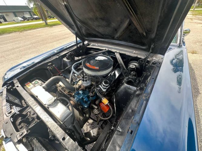 Unknown-Mustang-1965-Blue-Black-8
