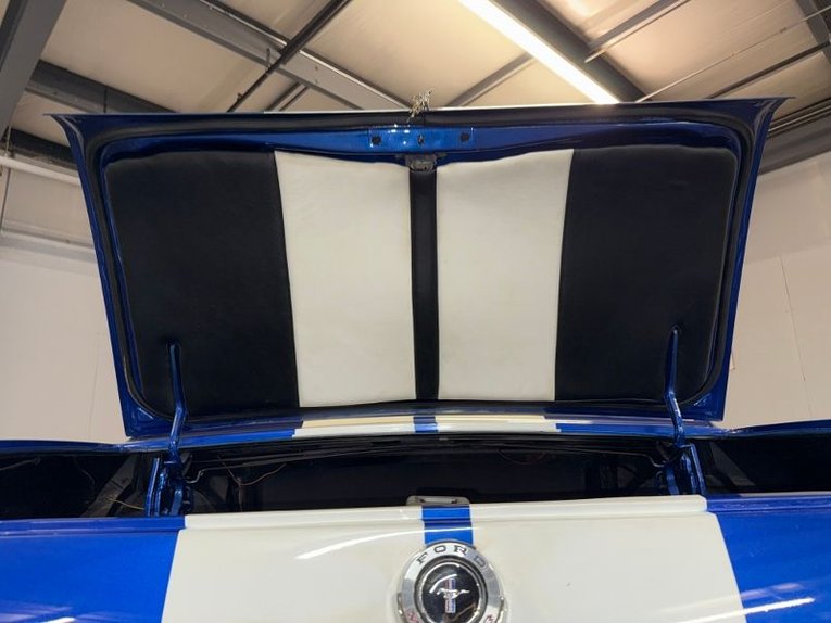 Unknown-Mustang-1965-Blue-White-Black-11