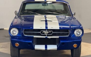 Unknown-Mustang-1965-Blue-White-Black-13