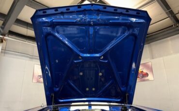 Unknown-Mustang-1965-Blue-White-Black-14