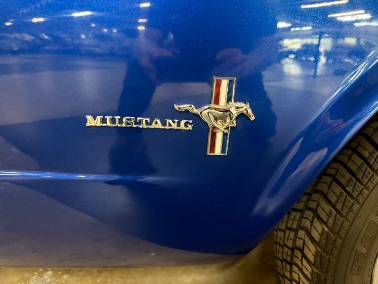Unknown-Mustang-1965-Blue-White-Black-17