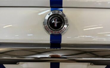 Unknown-Mustang-1965-Blue-White-Black-18