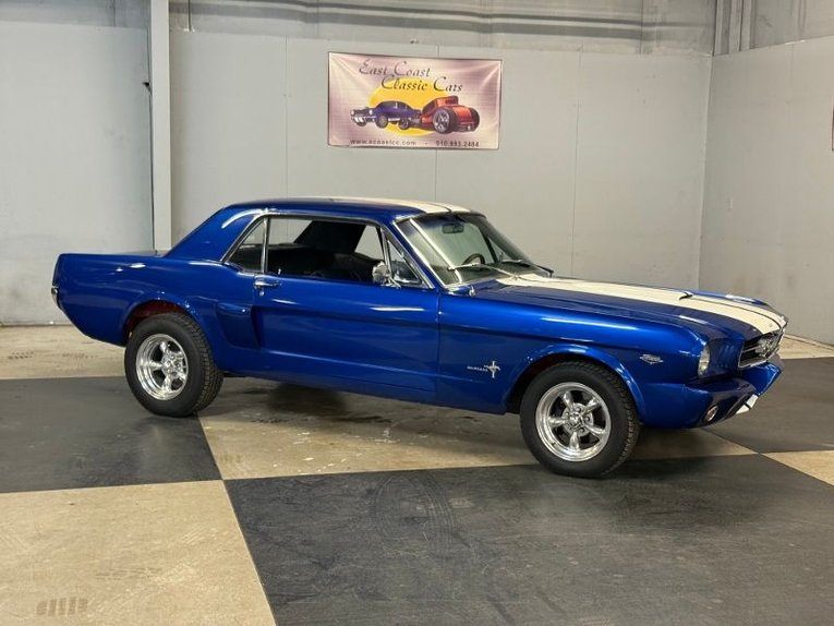 Unknown-Mustang-1965-Blue-White-Black-19