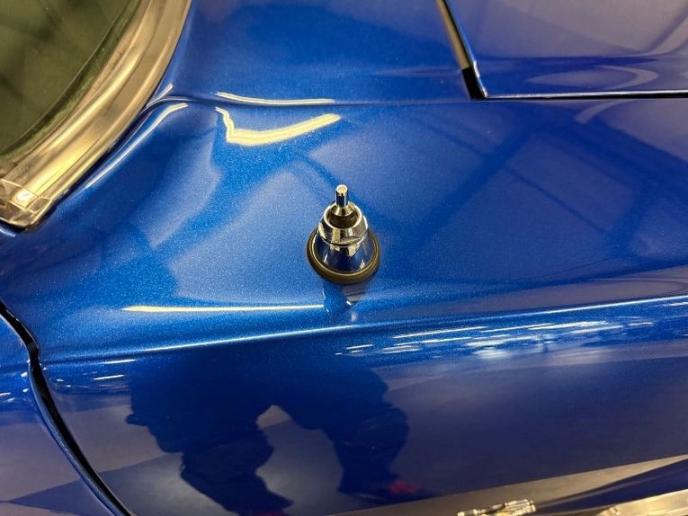 Unknown-Mustang-1965-Blue-White-Black-20