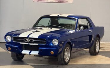Unknown-Mustang-1965-Blue-White-Black-33