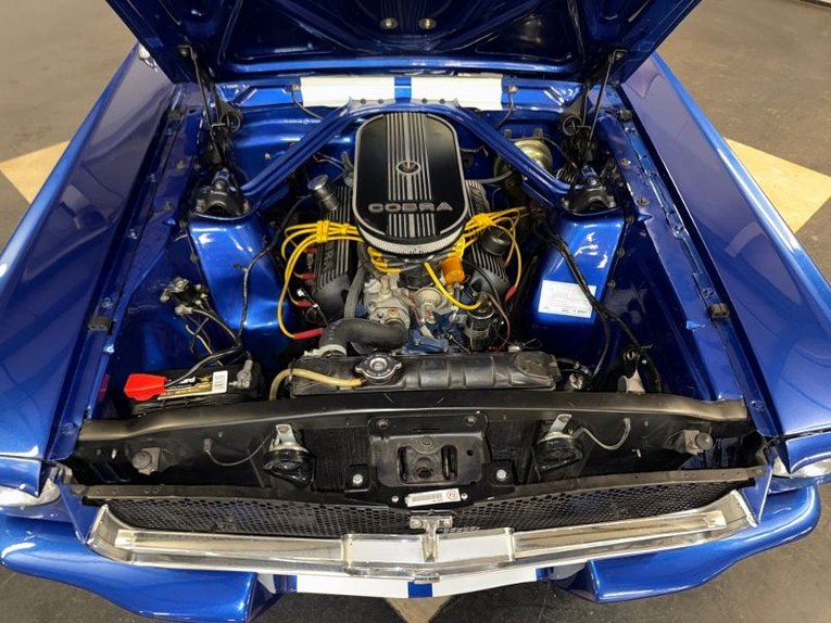 Unknown-Mustang-1965-Blue-White-Black-35
