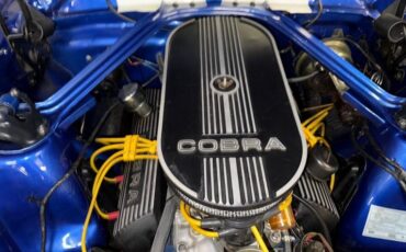 Unknown-Mustang-1965-Blue-White-Black-37