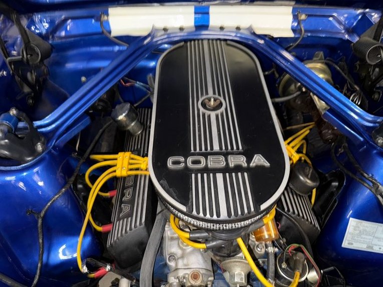 Unknown-Mustang-1965-Blue-White-Black-37