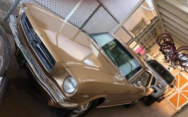 Unknown-Mustang-1965-Brown-Bronze-2