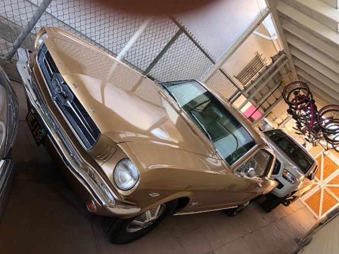 Unknown-Mustang-1965-Brown-Bronze-2