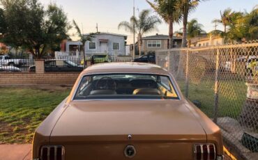 Unknown-Mustang-1965-Brown-Bronze-22