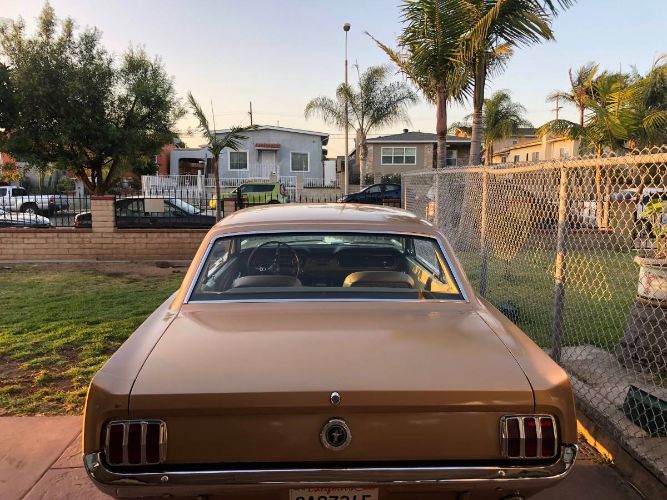 Unknown-Mustang-1965-Brown-Bronze-22