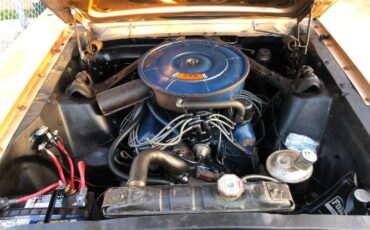 Unknown-Mustang-1965-Brown-Bronze-5