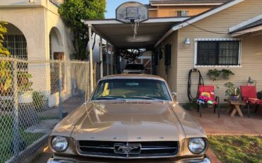 Unknown-Mustang-1965-Brown-Bronze-8