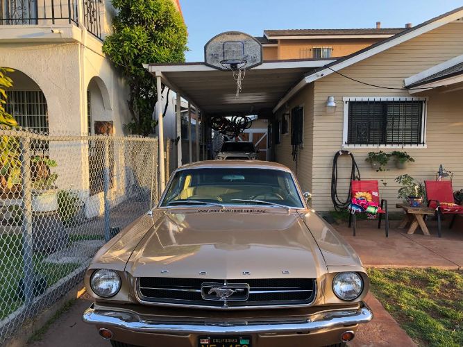 Unknown-Mustang-1965-Brown-Bronze-8