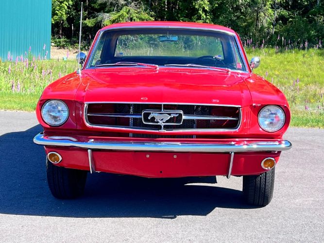 Unknown-Mustang-1965-Candy-Apple-Red-49