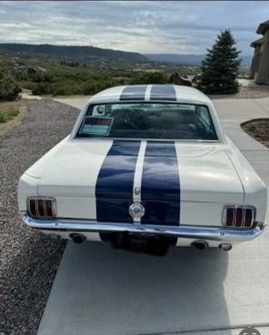 Unknown-Mustang-1965-Custom-6
