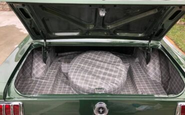 Unknown-Mustang-1965-Green-1