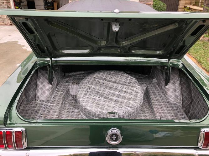 Unknown-Mustang-1965-Green-1
