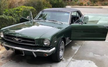 Unknown-Mustang-1965-Green