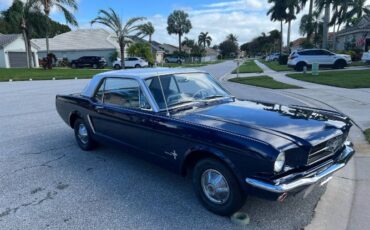 Unknown-Mustang-1965-Ocean-BlueWhite-1