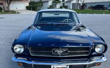 Unknown-Mustang-1965-Ocean-BlueWhite-2