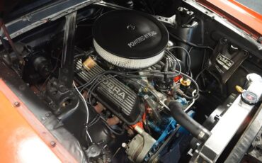 Unknown-Mustang-1965-Poppy-Red-White-12