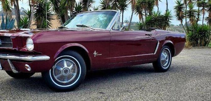 Unknown-Mustang-1965-Red-10