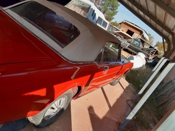 Unknown-Mustang-1965-Red-14
