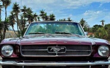 Unknown-Mustang-1965-Red-2