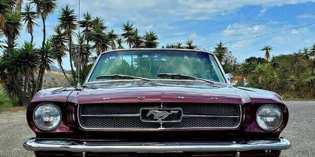 Unknown-Mustang-1965-Red-2