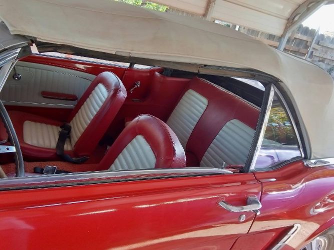 Unknown-Mustang-1965-Red-6