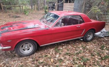 Unknown-Mustang-1965-Red-6