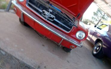 Unknown-Mustang-1965-Red-7