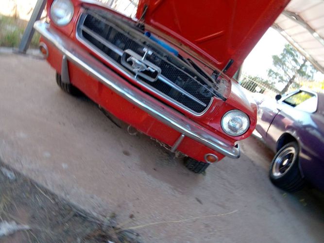 Unknown-Mustang-1965-Red-7